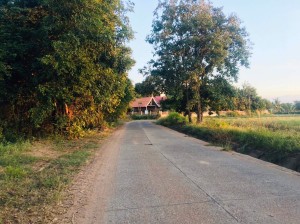 ขาย ที่ดิน ใกล้ทางหลวงหมายเลข24 ที่นา-ที่ดินราคาถูกนครราชสีมา ใกล้ถนนโชคชัย-เดชอุดม น้ำประปาไฟฟ้าผ่านหน้าที่นา เข้าออกหมู่บ้านได้2เส้นทาง