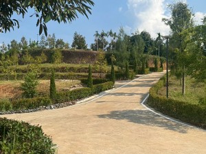 ขาย ที่ดิน 泰国榴莲果园投资 CheaperthanOthersbyMillions- 泰国尖竹汶府榴莲果园投资立即 Durian-Farm-Investment-Chanthaburi- ลงทุนทุนสวนเรียน-จันทบุรี-รับรายได้ทันทีจากผลผลิต